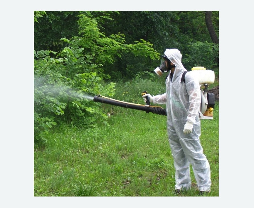 обработка территории от клещей в Яхроме