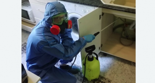 Уничтожение муравьев в квартире. Яхрома