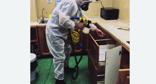 Уничтожение насекомых в квартире. Яхрома