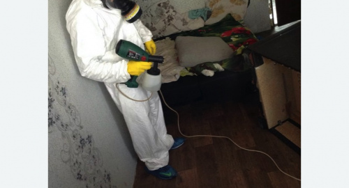 Обработка квартир от насекомых в Яхроме