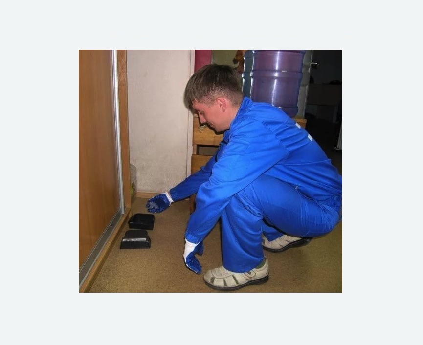 Дератизация крыс в Яхроме