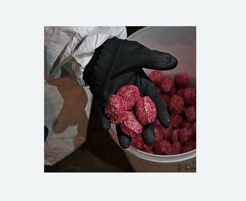 Обработка от крыс в Яхроме