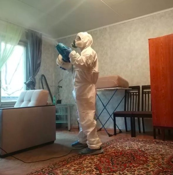 дезинсекция квартиры в Яхроме