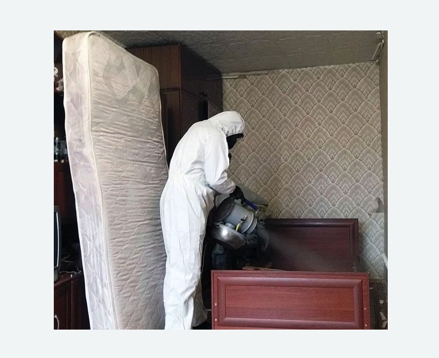 дезинфекция от клопов в Яхроме