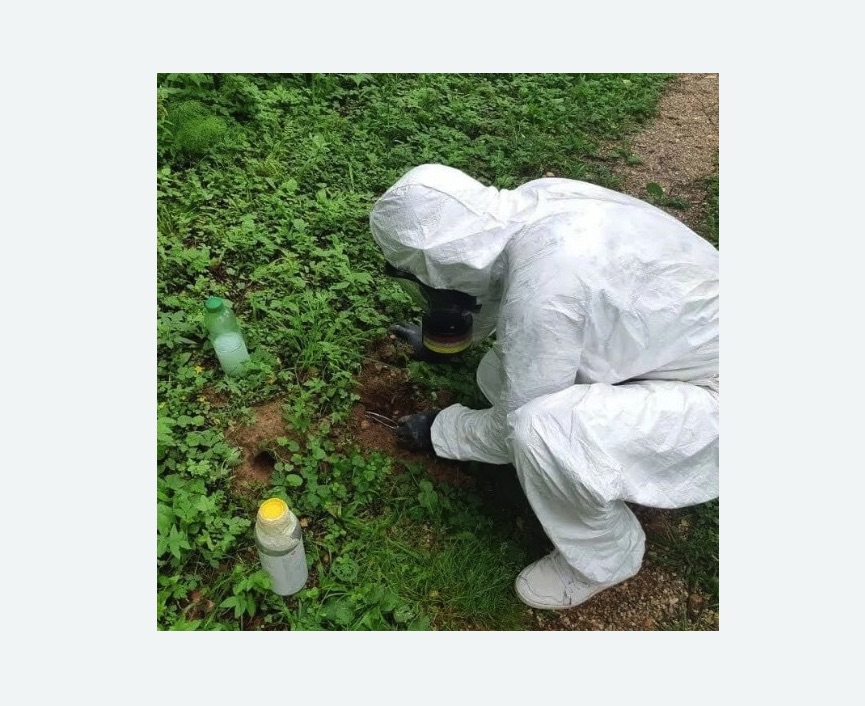 уничтожение кротов на участке в Яхроме